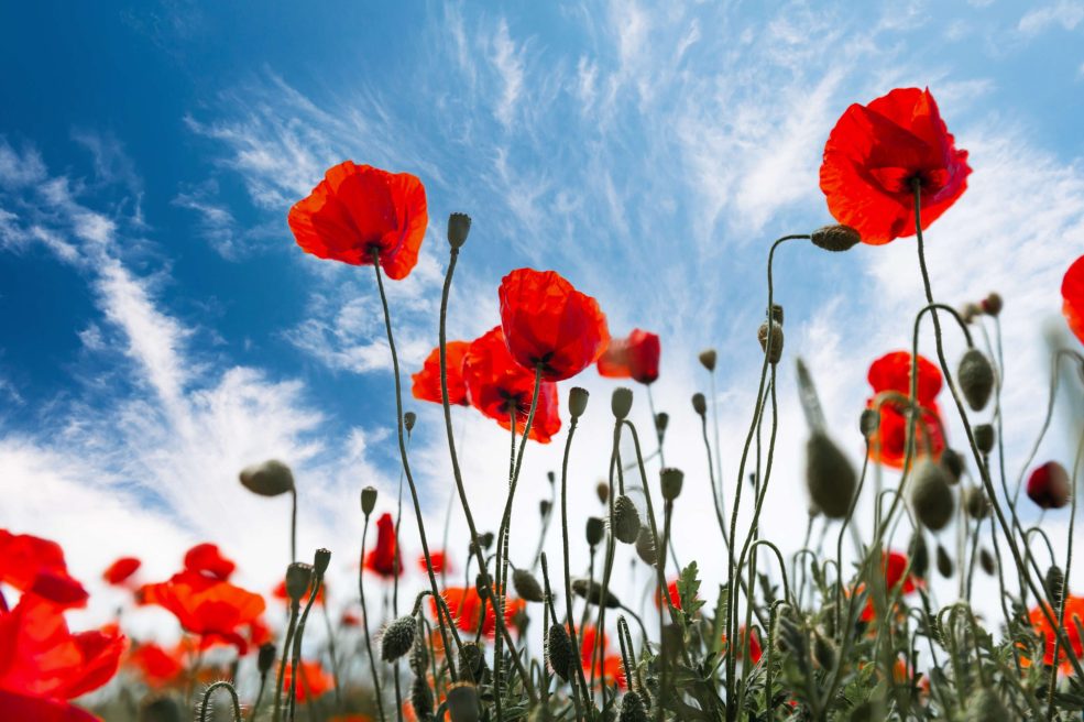 0e24ea7c92fac5930dbbc6c97c2ea58824b3e5d0