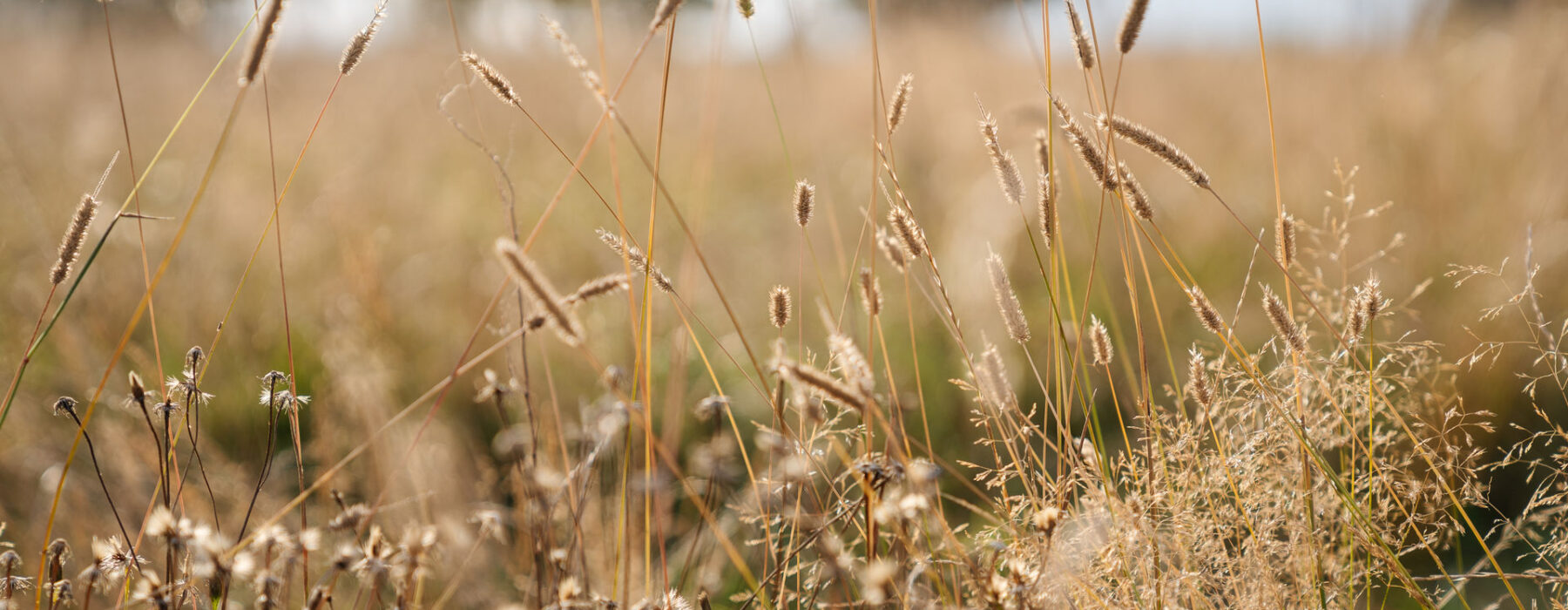 198 - OHA Welten-198