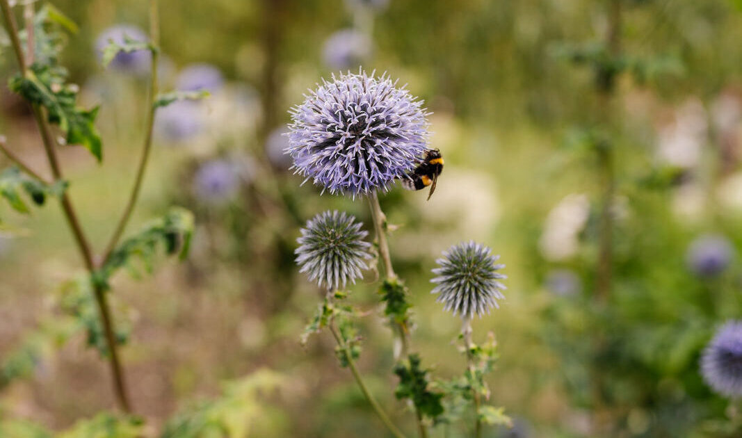 334 - OHA Welten-334