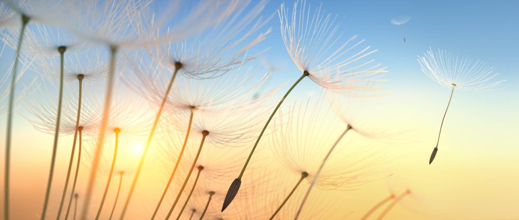 6c00e13a0b4f9d5384ef7e6bdafb3060cdcf97d3