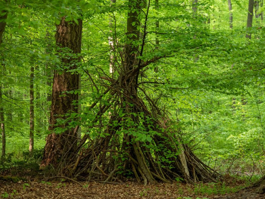 912fdce1b770821725008bac60322bab6ca7d39a