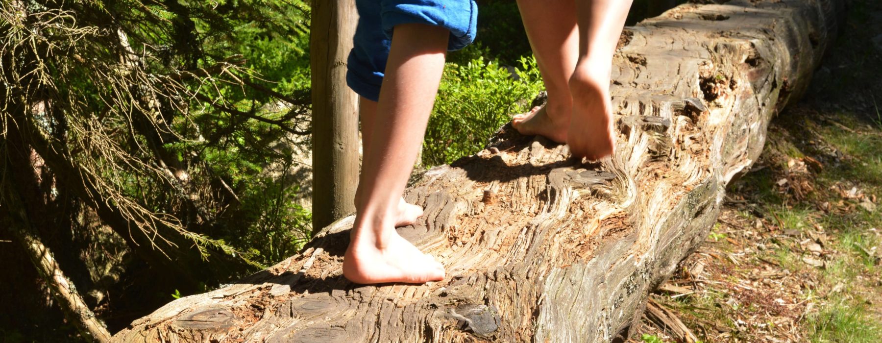 a44c698b0297e52a3cbe06c42c010d512280726a