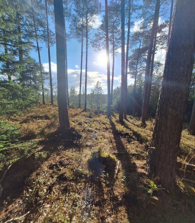 WhatsApp Bild 2025-10-03 um 15.48.22_b8ee9e97