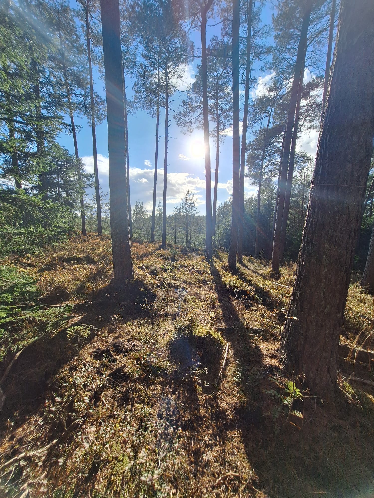 WhatsApp Bild 2025-10-03 um 15.48.22_b8ee9e97